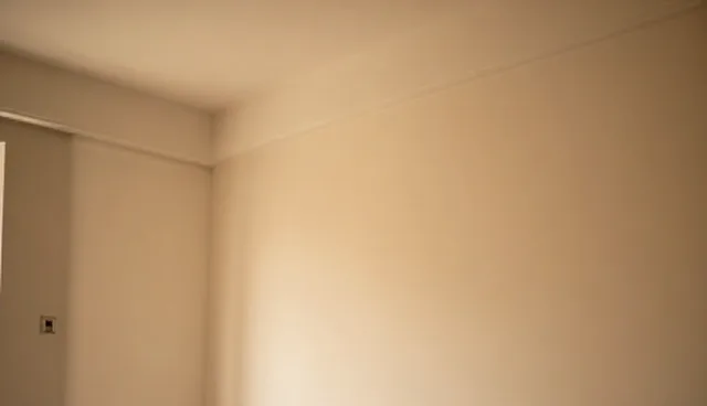全屋定制套餐使用与维护的关键要点解析